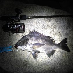 淀川ブリームゲーム 今季初マチヌ