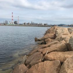 久しぶりのキス釣り(^^)