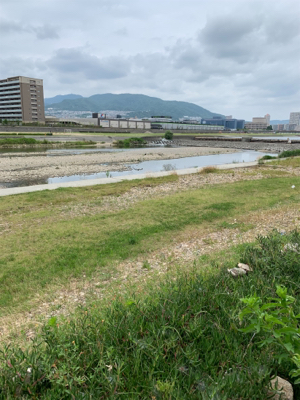 デイナマズゲーム