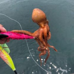 オクトパッシング