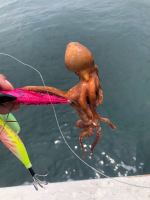 オクトパッシング