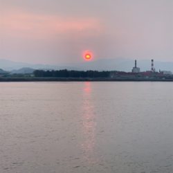 はっ！こ、コブダイッ！