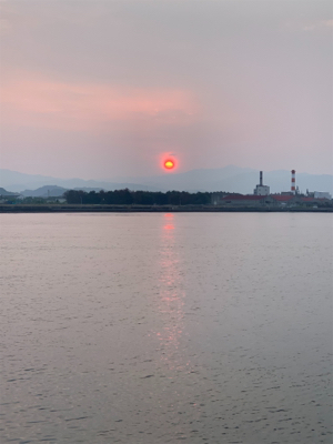 はっ！こ、コブダイッ！