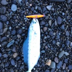 七里御浜ショアジギング