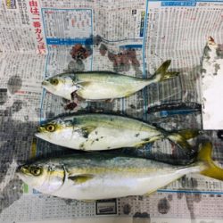 ライトショアジギング