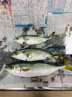 ライトショアジギング