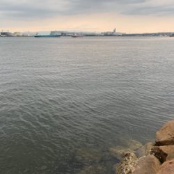 久々のええサイズ