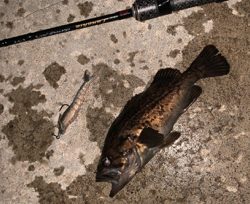 ６０分一本勝負！