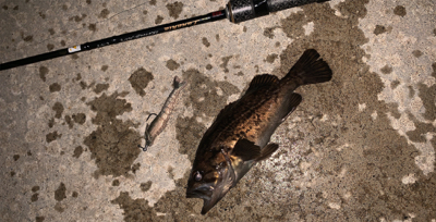 ６０分一本勝負！