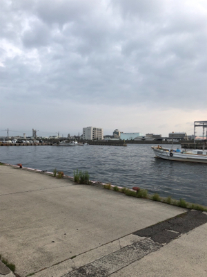 五目釣り成らずーー