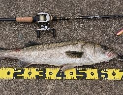 令和一の停泊船ゲーム