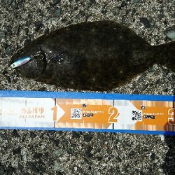 2019年6月10日釣行in福吉漁港