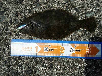 2019年6月10日釣行in福吉漁港