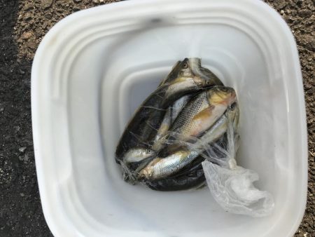 何年かぶりの…