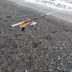 タコ釣りです!!