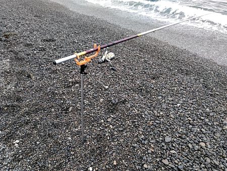 タコ釣りです!!