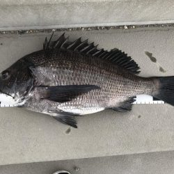 イチノ兄弟、釣果!