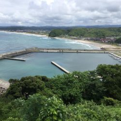 サビキ釣り好調