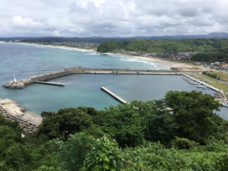 サビキ釣り好調