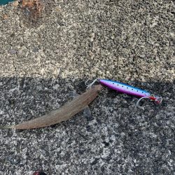 雨上がりライトショアジギング