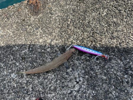 雨上がりライトショアジギング