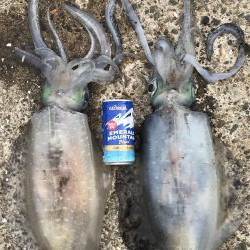 約1年半ぶりの投稿