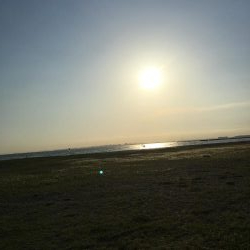 検見川浜の突堤にて