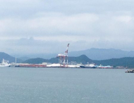 和歌山太刀魚シーズン好調