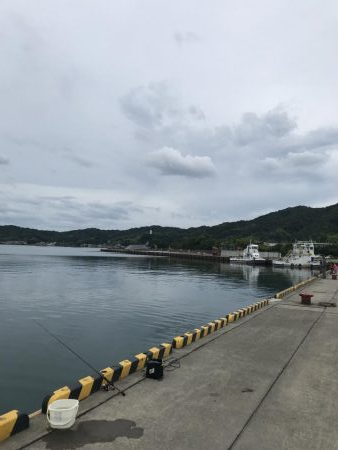 雨降る前にエギング