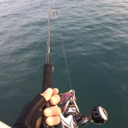 タッチ〜 ライトショア フラットフィッシュ