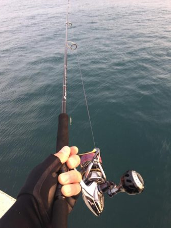 タッチ〜 ライトショア フラットフィッシュ