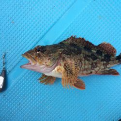 ボートフィッシング