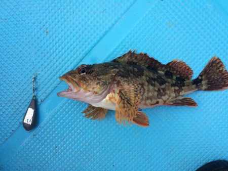 ボートフィッシング