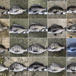 イチノ兄弟、釣果!