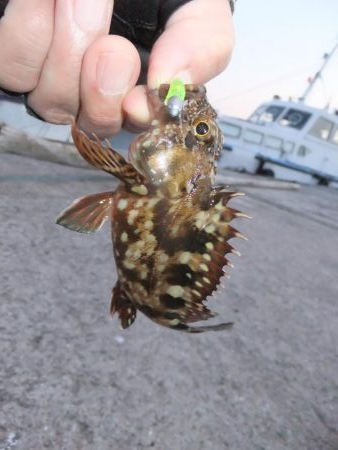 アタリは多かった