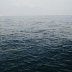 今日はツバス狙い