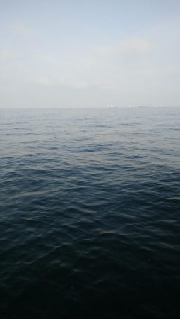 今日はツバス狙い