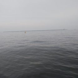 今日もツバス釣り