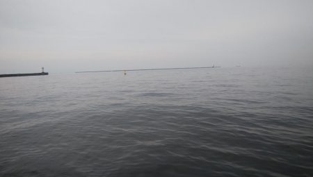 今日もツバス釣り