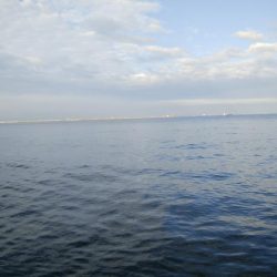 ツバス&ブリ狙い釣行