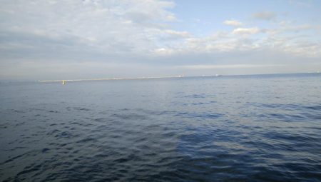 ツバス&ブリ狙い釣行