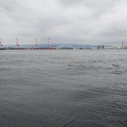 シーサイドコスモでツバス