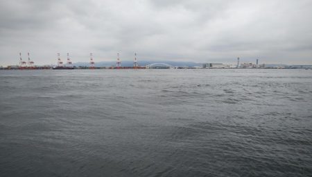 シーサイドコスモでツバス