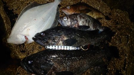 地磯でショアジギ