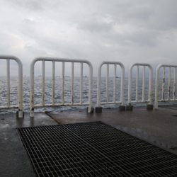 今日はシブイしバラシも多かった