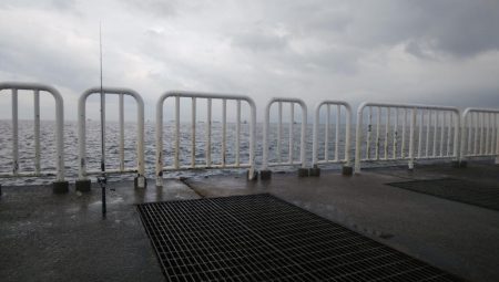 今日はシブイしバラシも多かった