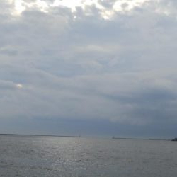 雨の合間にサクッと釣行