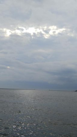 雨の合間にサクッと釣行