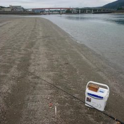 エギング&キス釣り