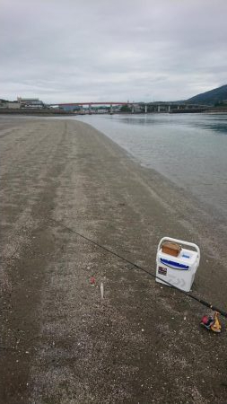 エギング&キス釣り